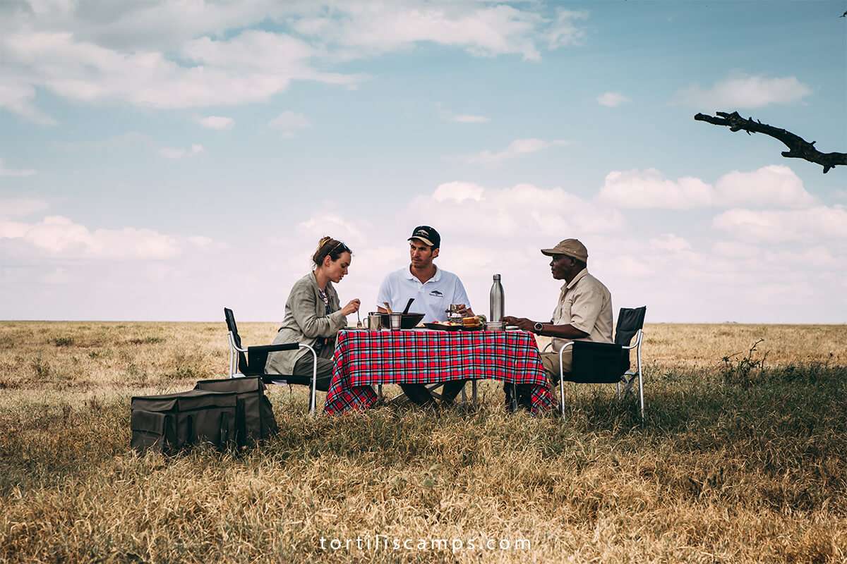 bush-lunch-at-serengeti-national-park-ground
