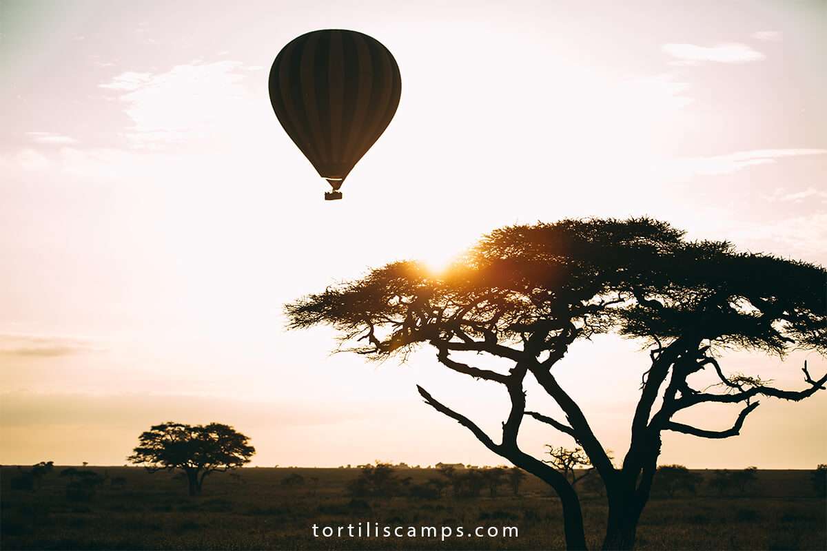 serengeti-balloon-safari-experience